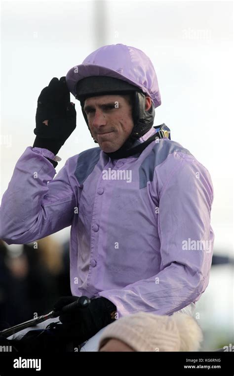 bet365 survivor